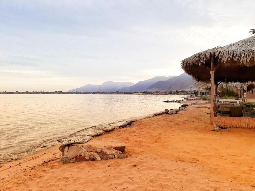 Sababa Beach Camp Bed & Breakfast Nuweiba` Eksteriør bilde